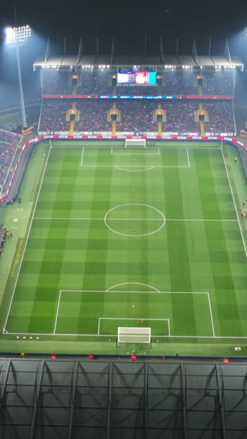 Stadium Nights template
